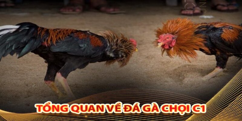 Kinh nghiệm tham gia cược hiệu quả nhất từ chuyên gia nhà cái 789win Kinh nghiệm tham gia cược hiệu quả nhất từ chuyên gia nhà cái 789win