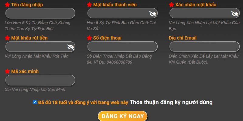 Thông tin bạn cần điền khi đăng ký thành viên 789win Thông tin bạn cần điền khi đăng ký thành viên 789win